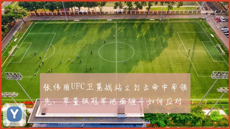张伟丽UFC卫冕战站立打击命中率领先，草量级冠军地面缠斗如何应对挑战者？